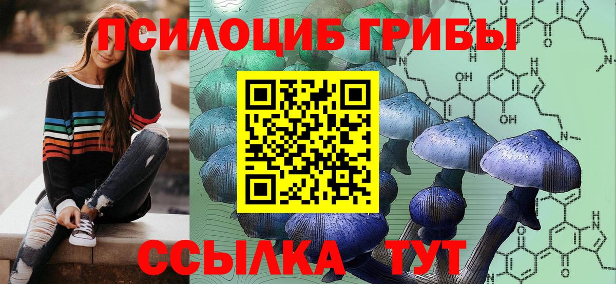 где можно купить   Вход с VPN  Киселёвск  Галлюциногенные грибы мицелий 